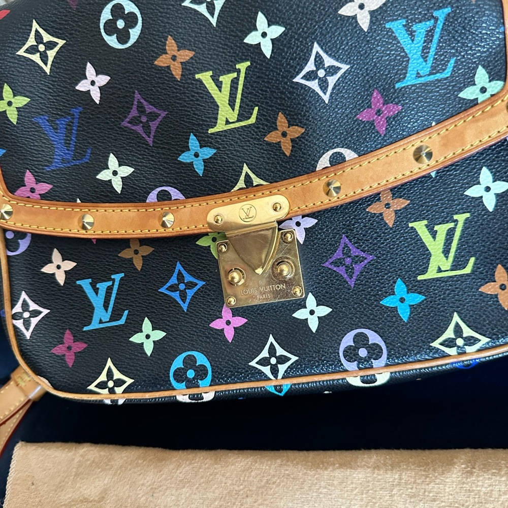 Louis Vuitton Multicolore Sologne PM. - Picture 3 of 17